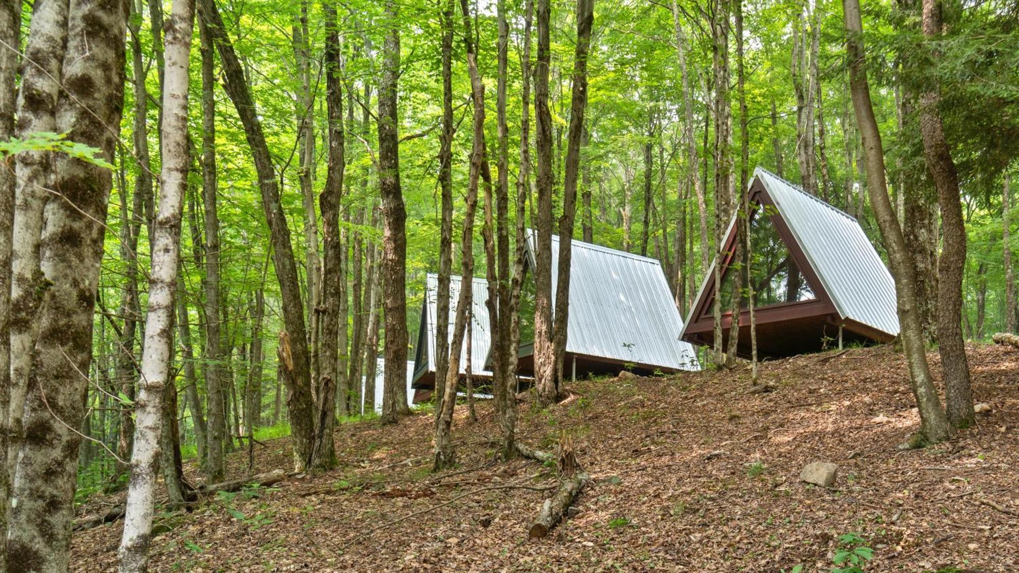 Callicoon Hills Callicoon Center Εξωτερικό φωτογραφία
